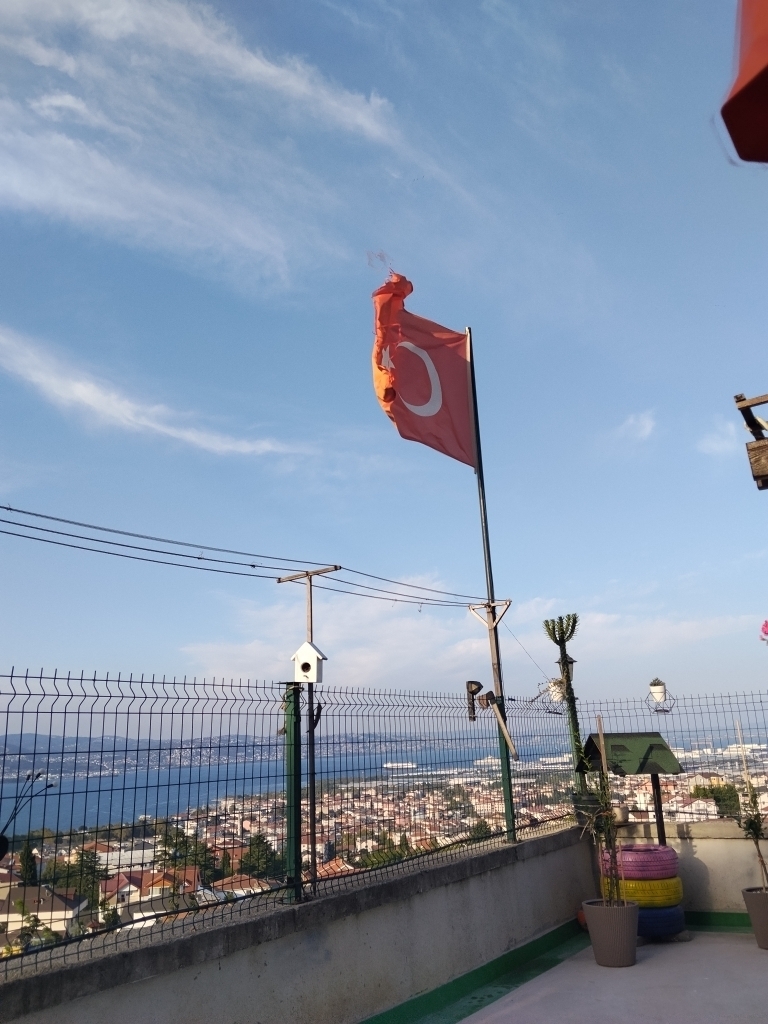 DUYGU