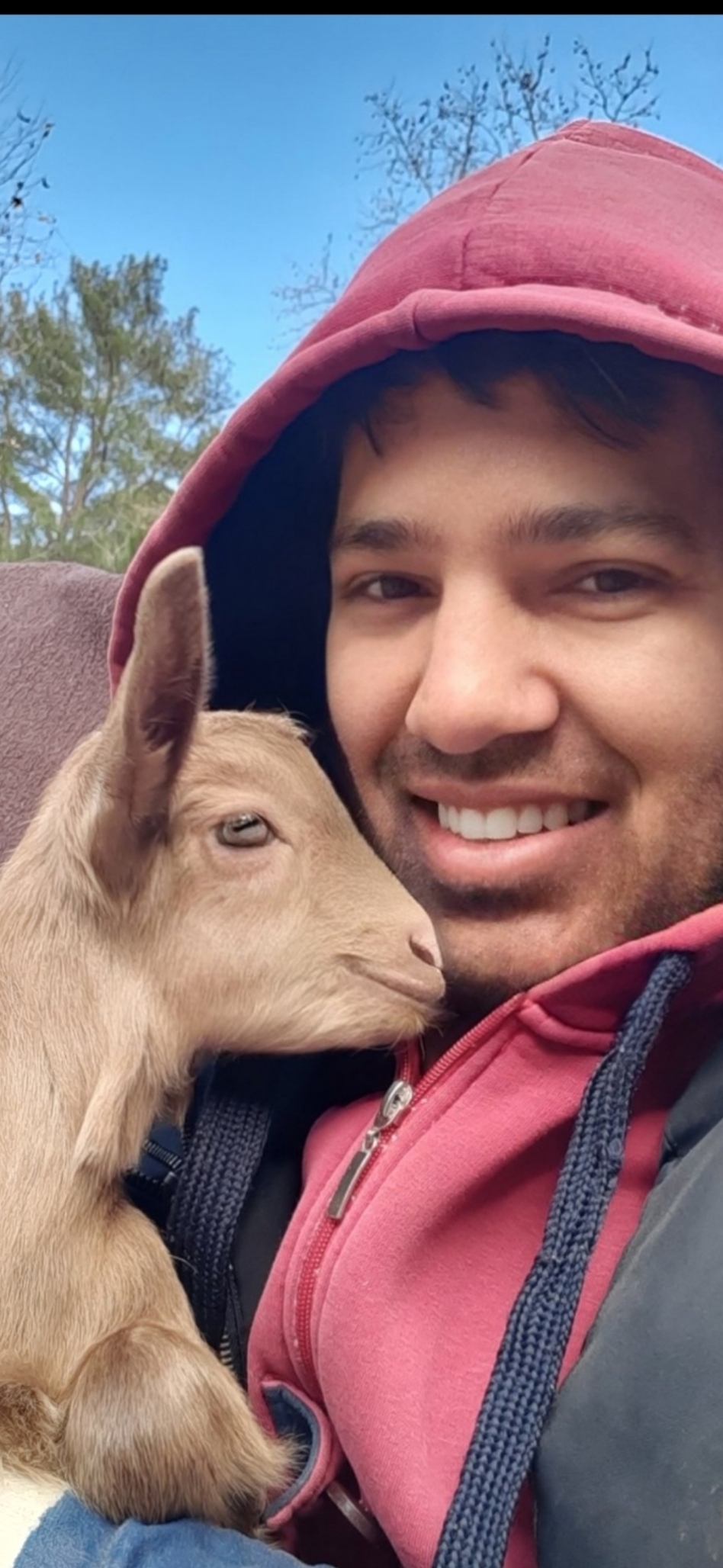 Ved