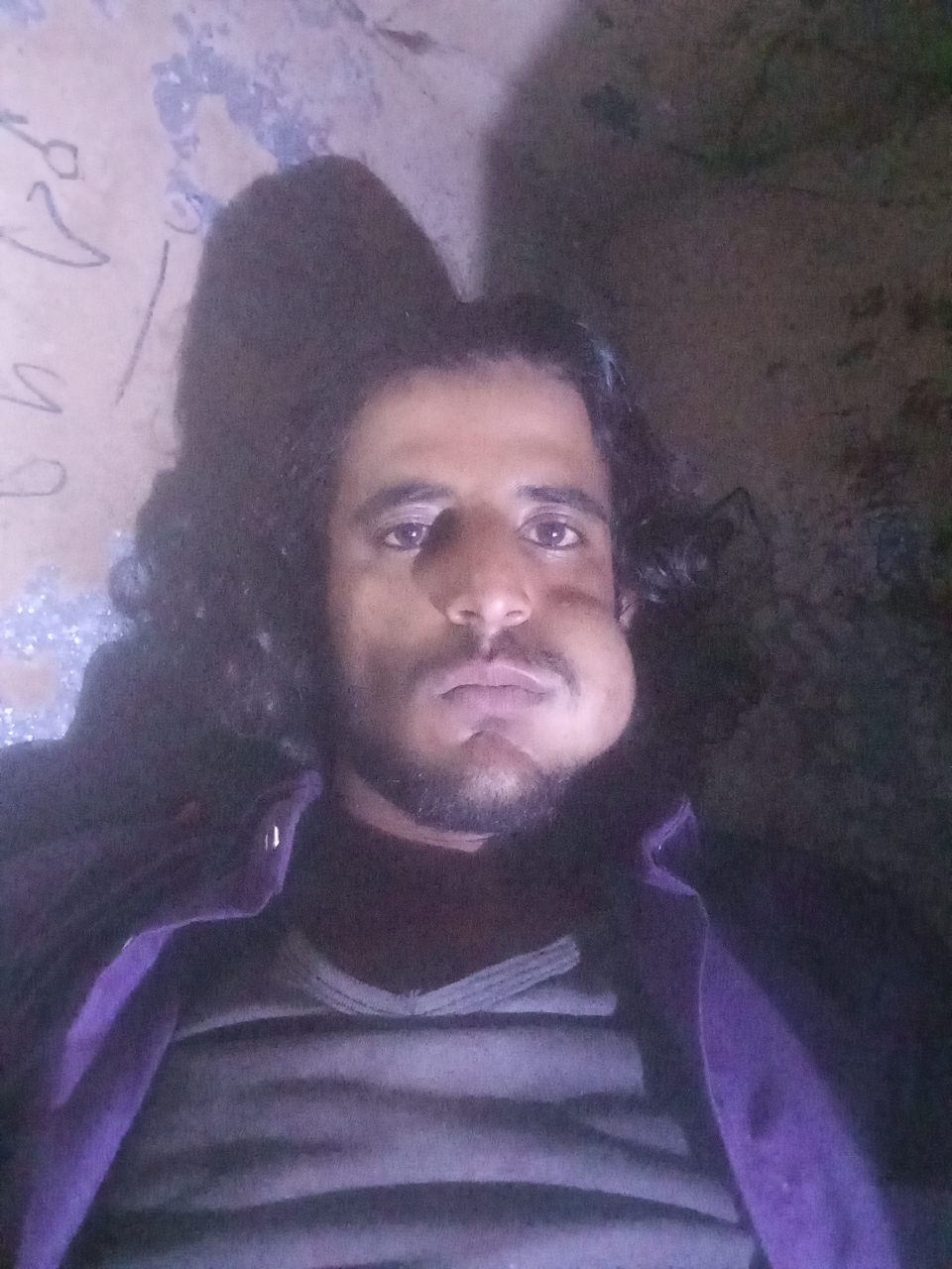 شوقي