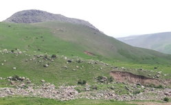 Zeynep