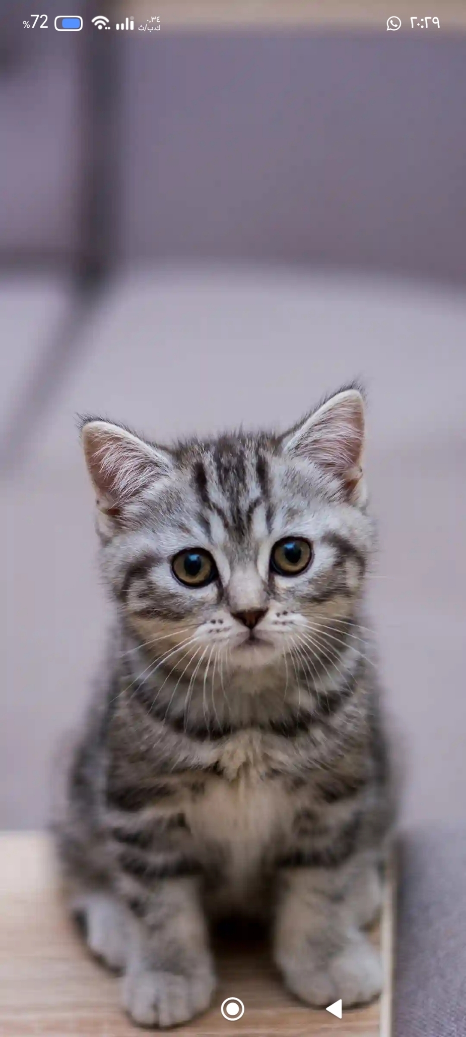 Tony