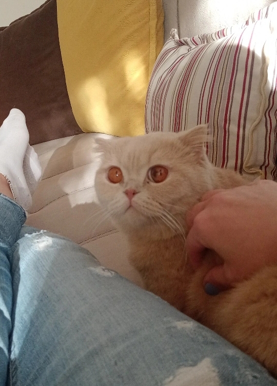 Mine
