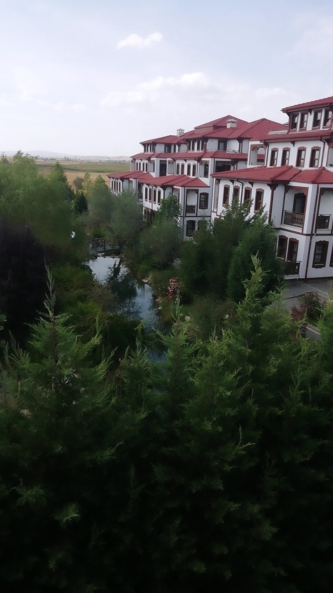 Merve
