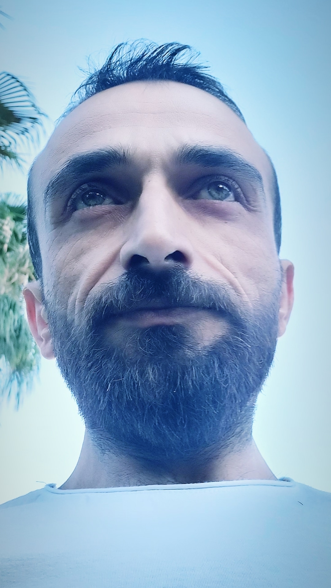 Ercan