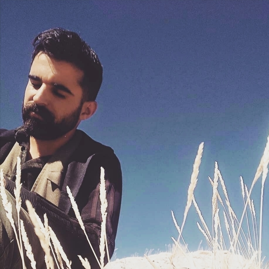 Şahin