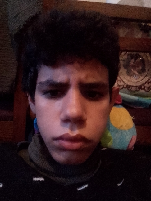 Kamel