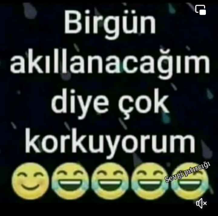 Merve