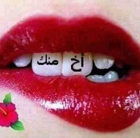 علاء