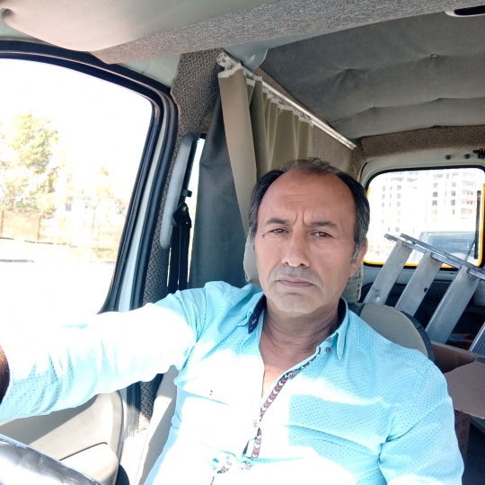 Doğan