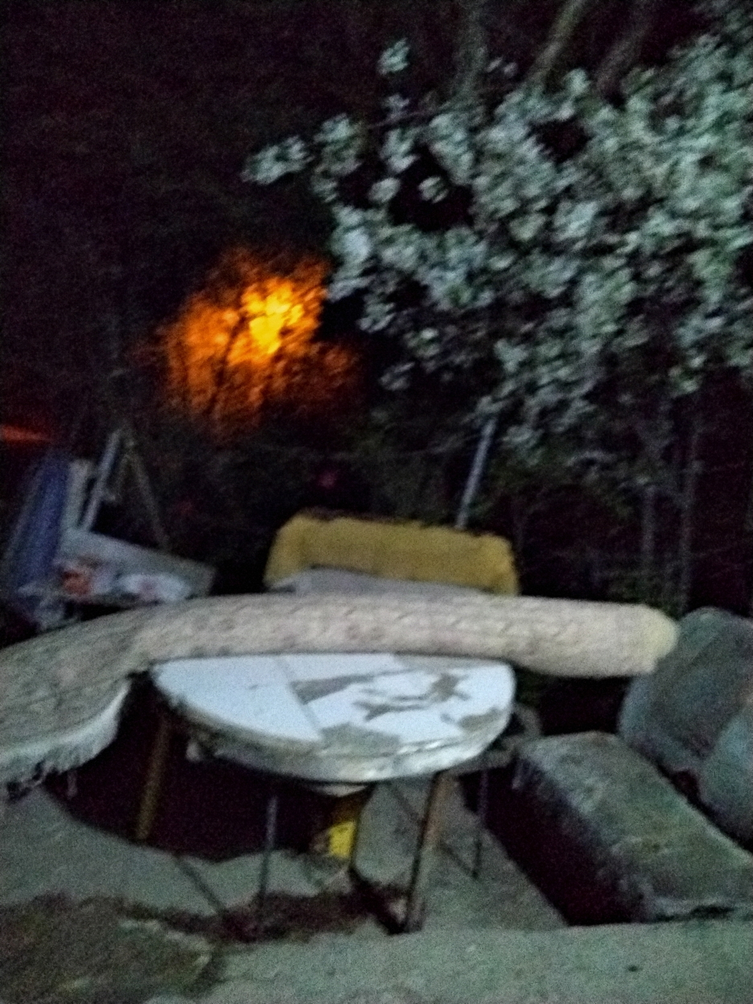 Mürşidi
