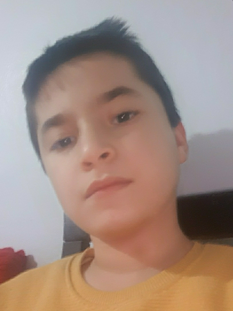Zinet