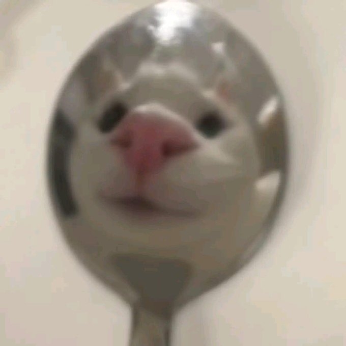 Sayang