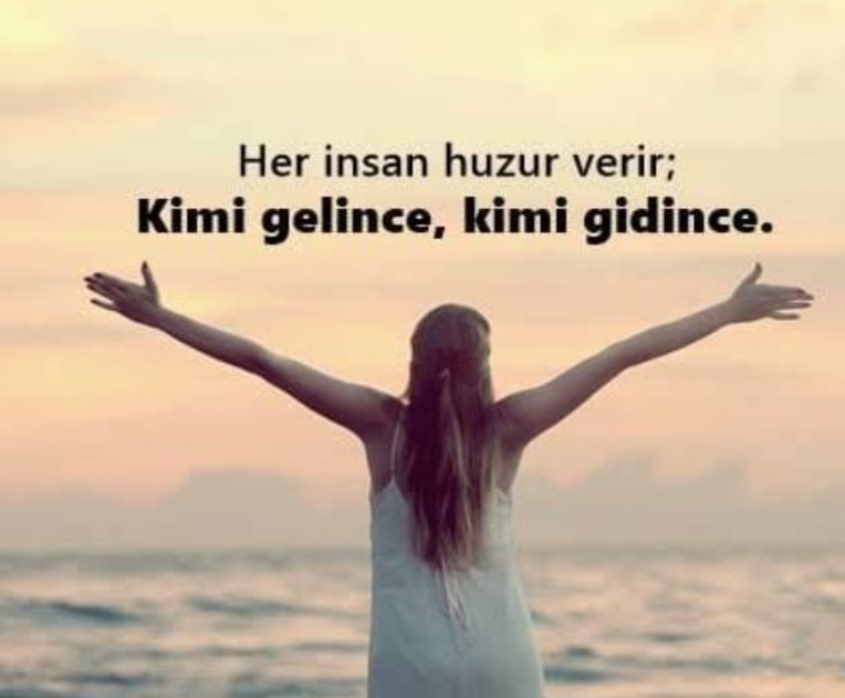 Bilge