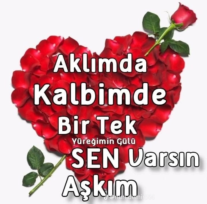 Hasene