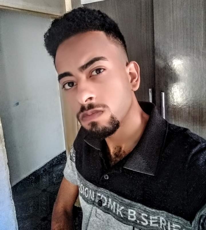 Hmmsim