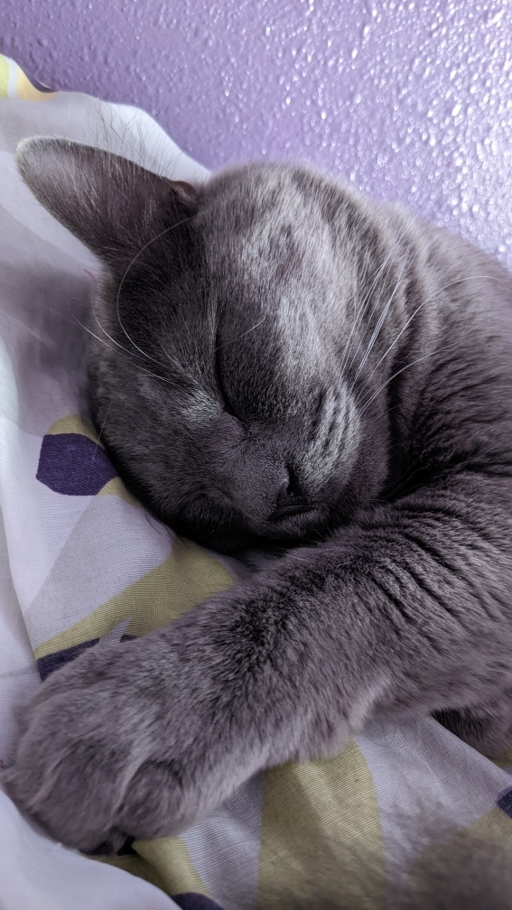 Amara