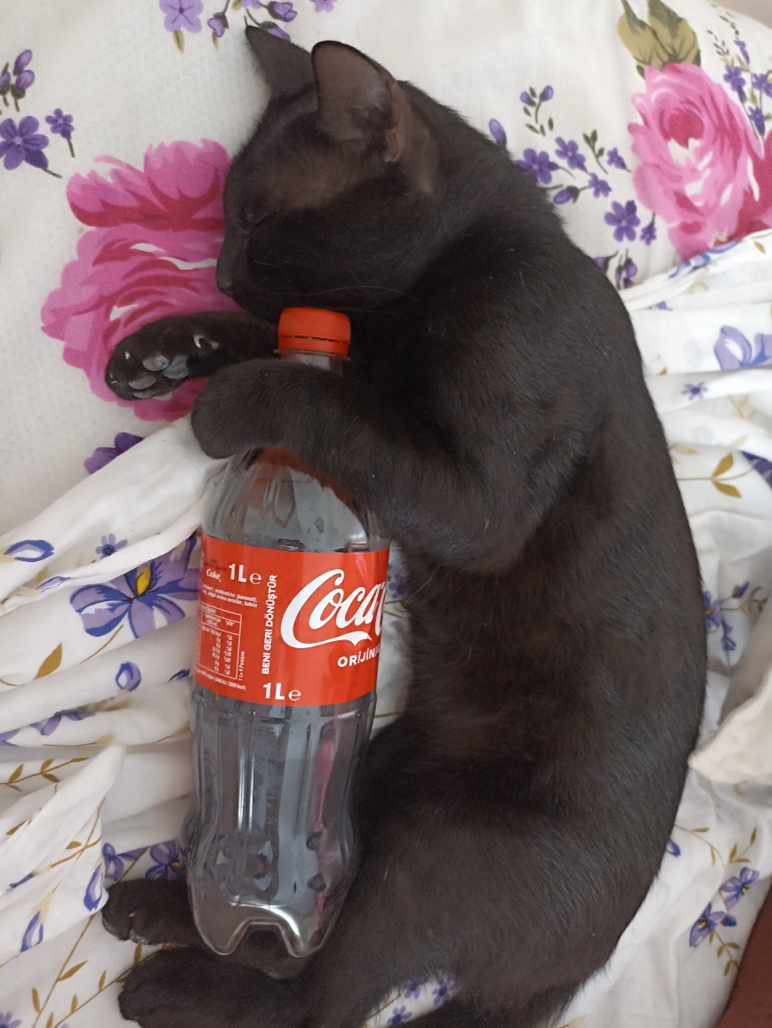 Naciye