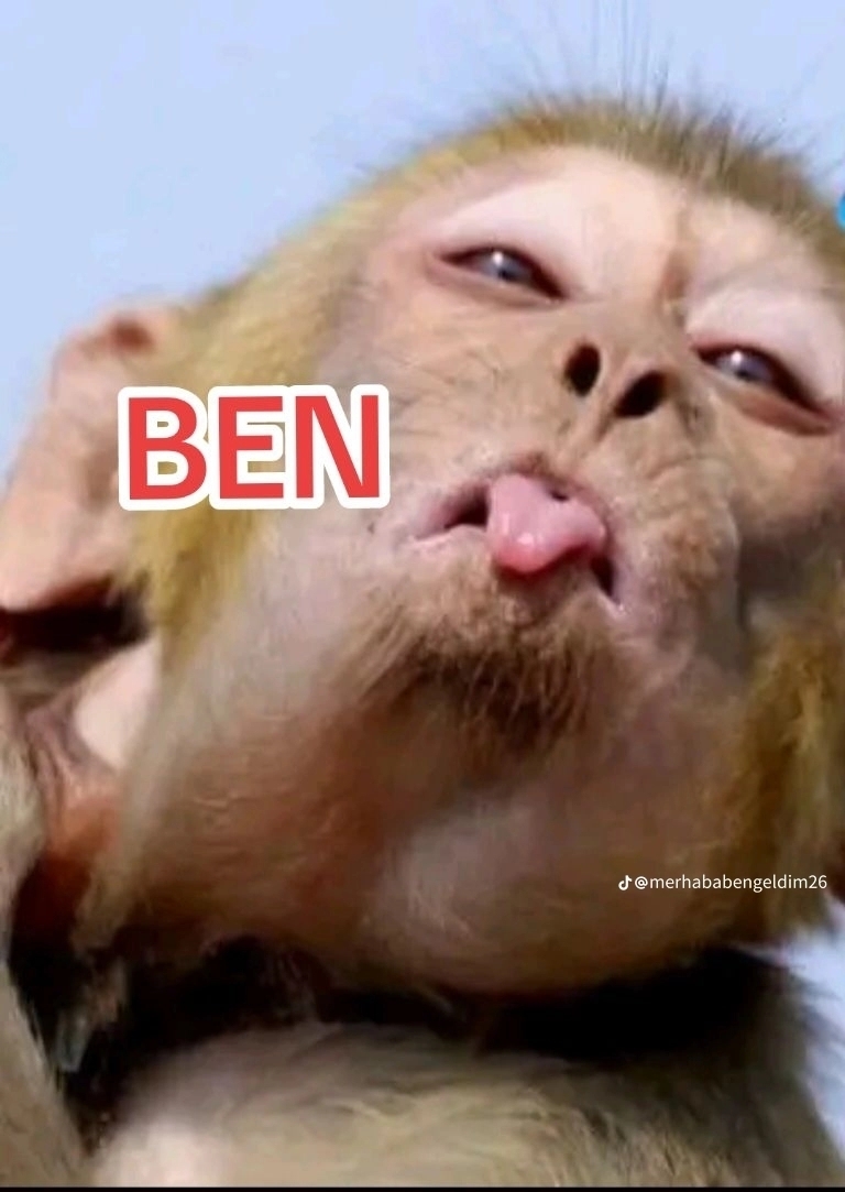 Yuksel