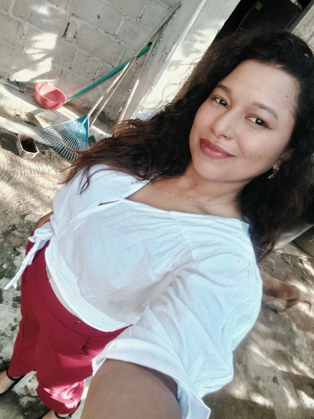 Iselis