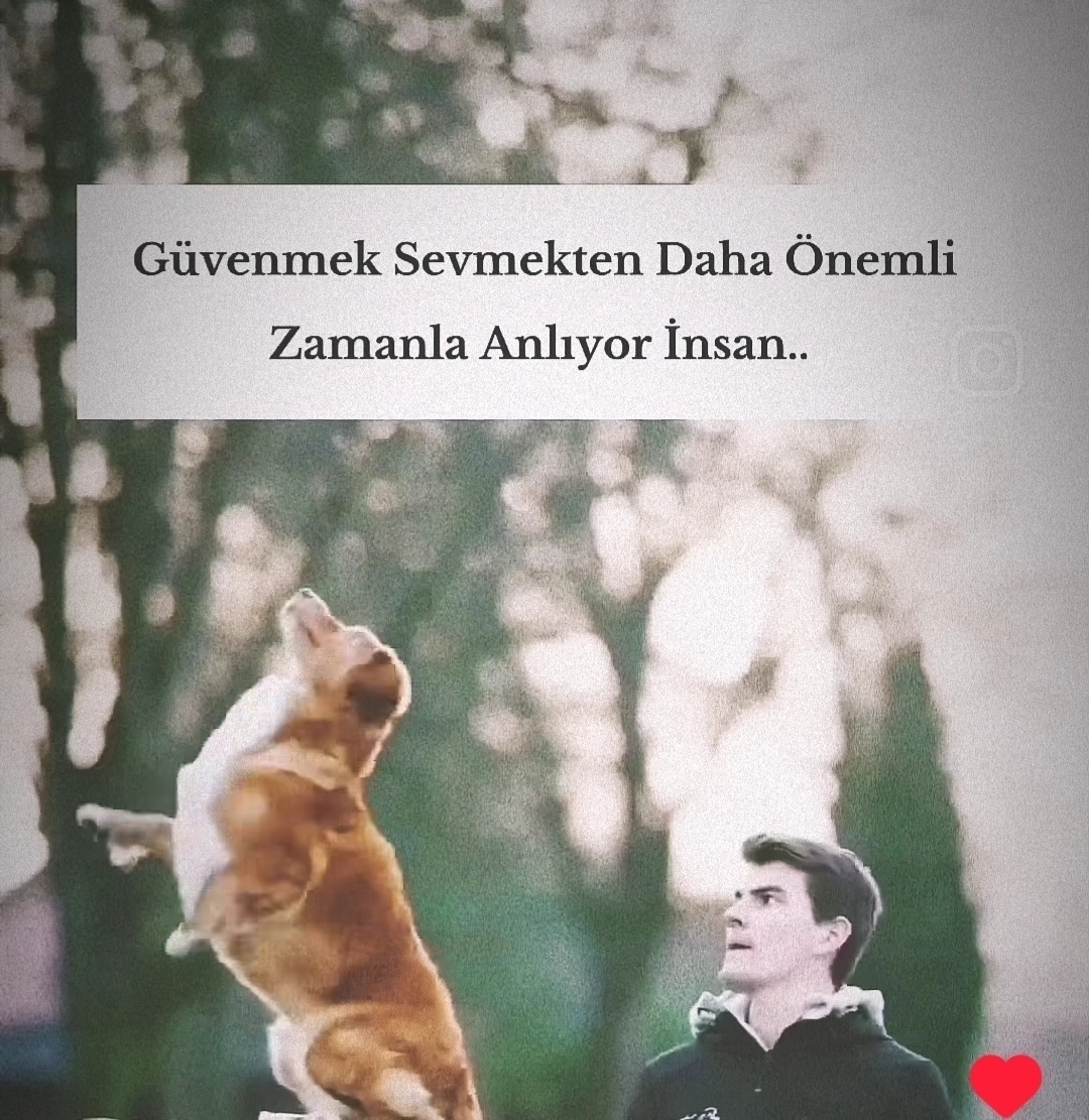 Mehtap