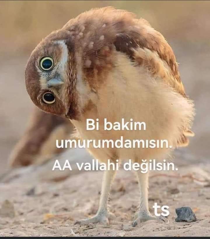 Eda