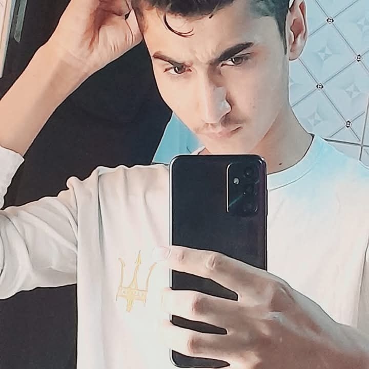 Dinaeil