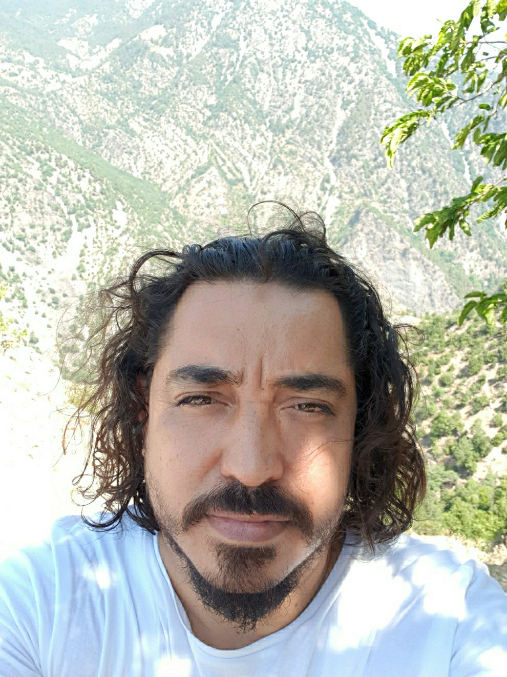 Mustafa