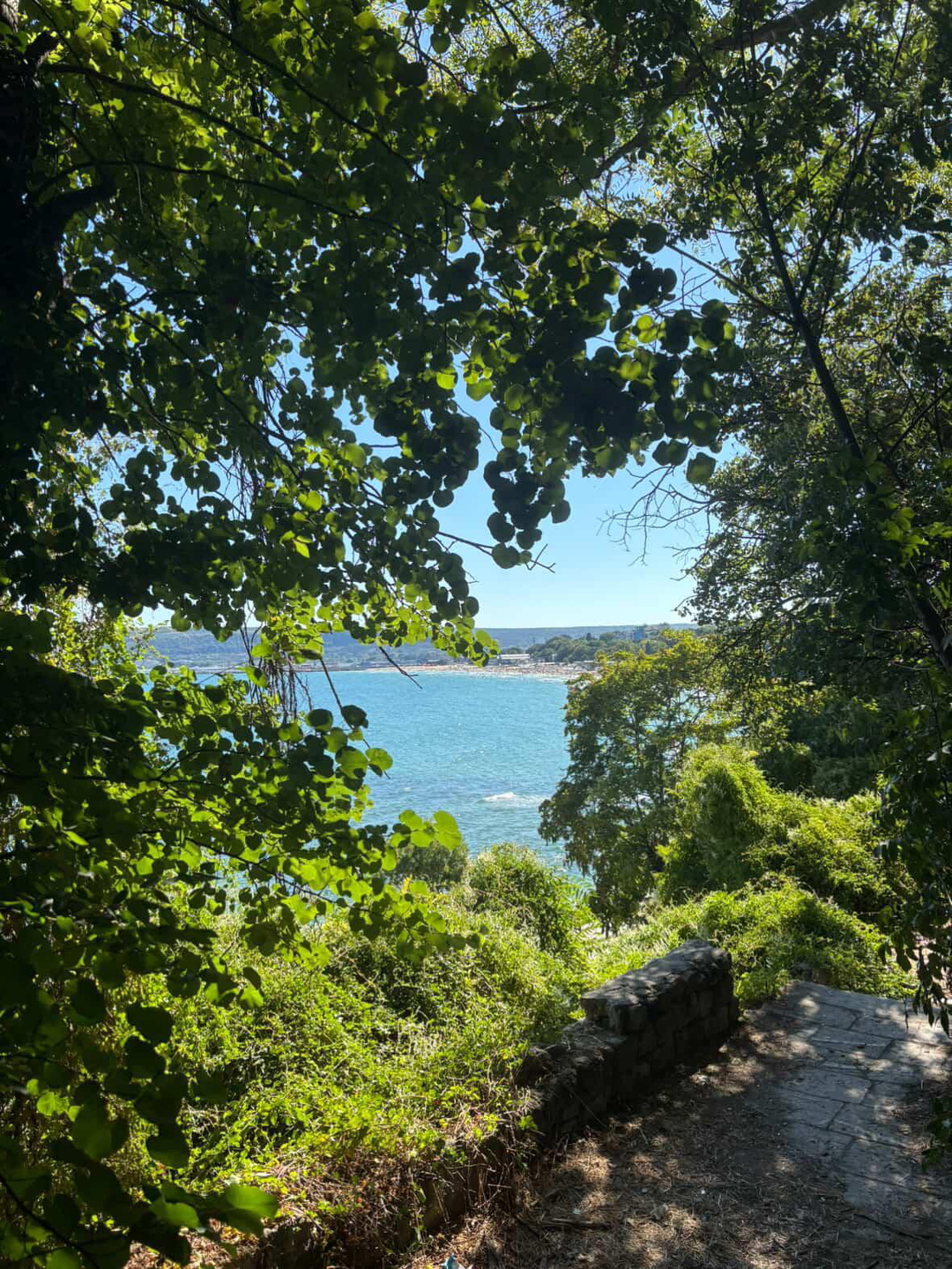 Meliş