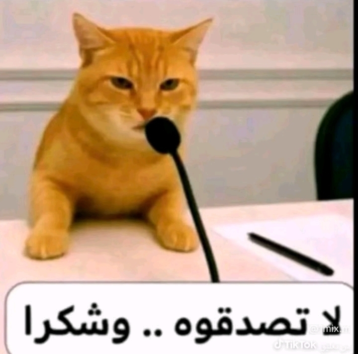 Maher