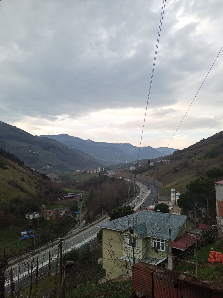 Bir