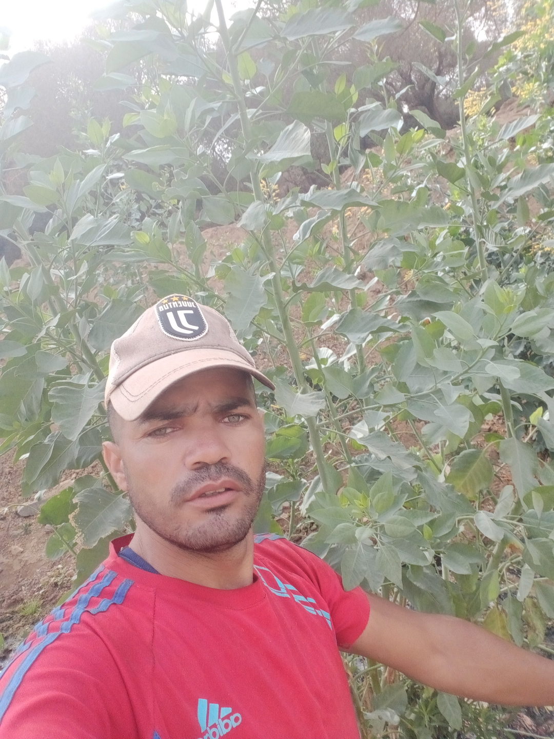 Hamza