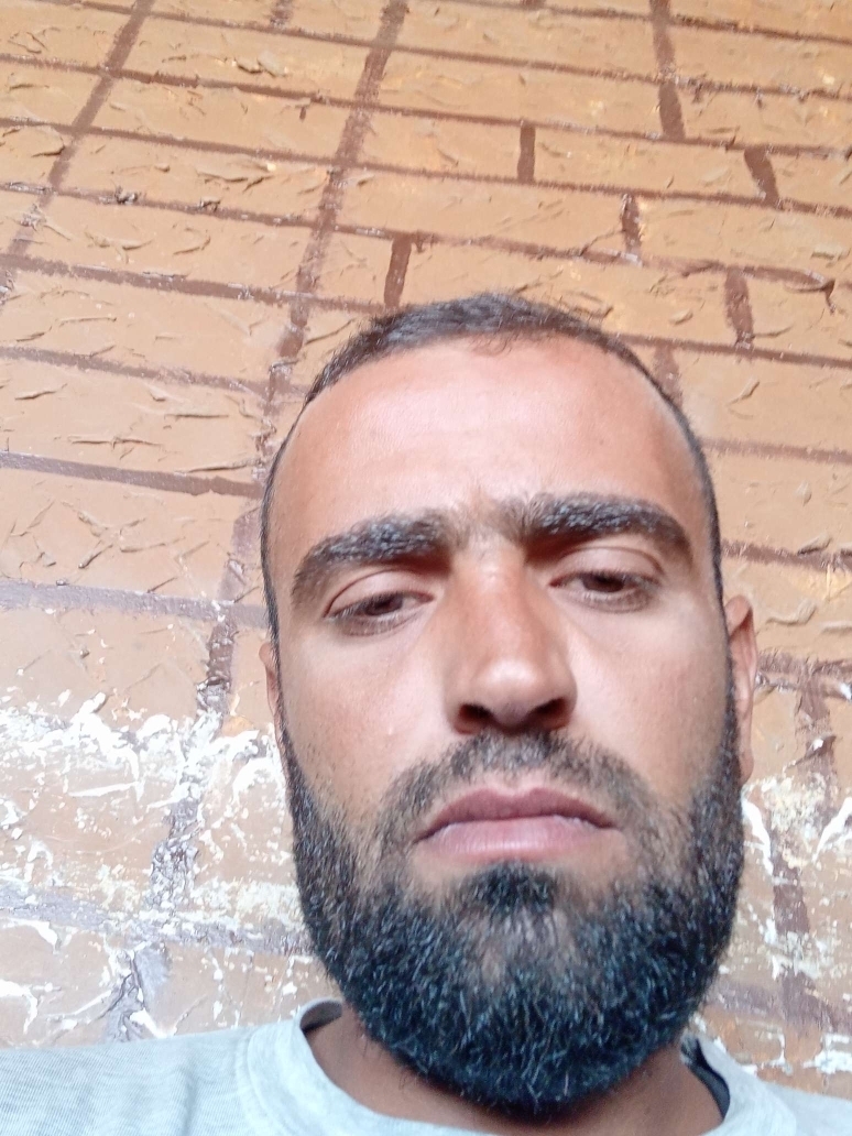 طارق