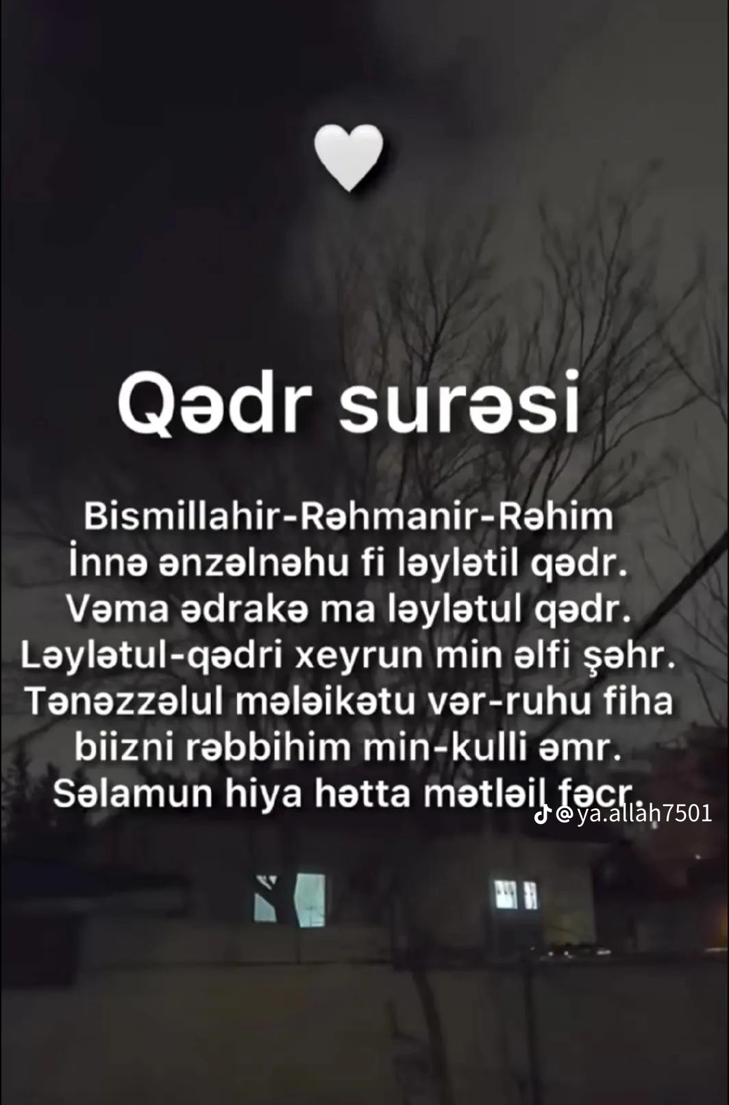 Davud