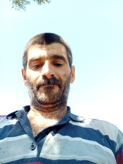 Veysel