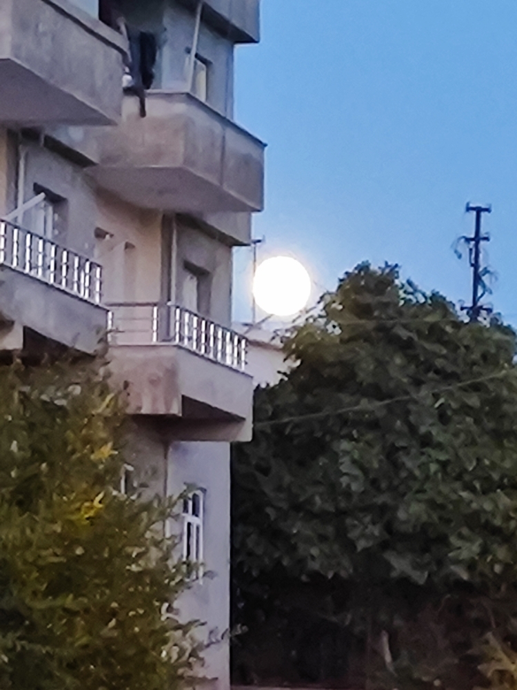 Yaman