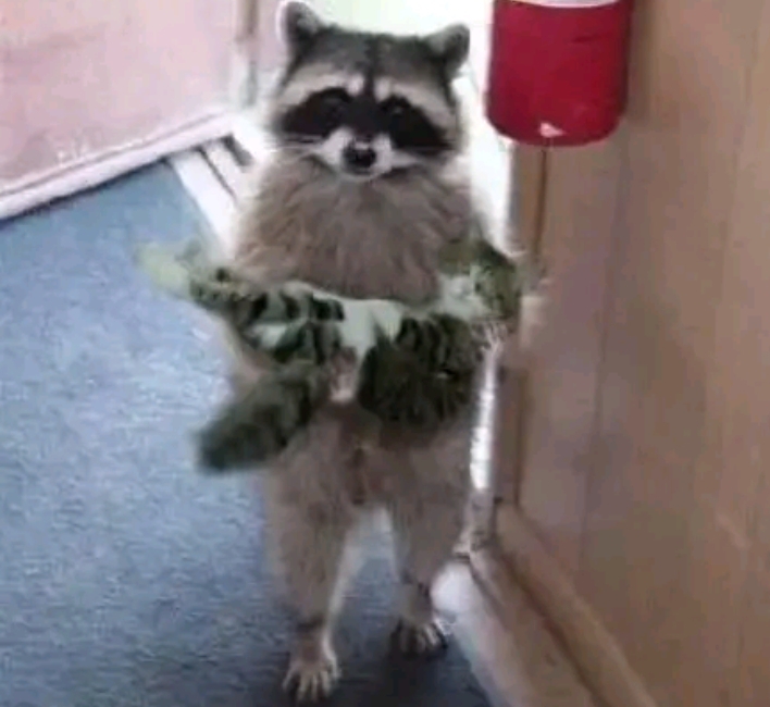 Gülin