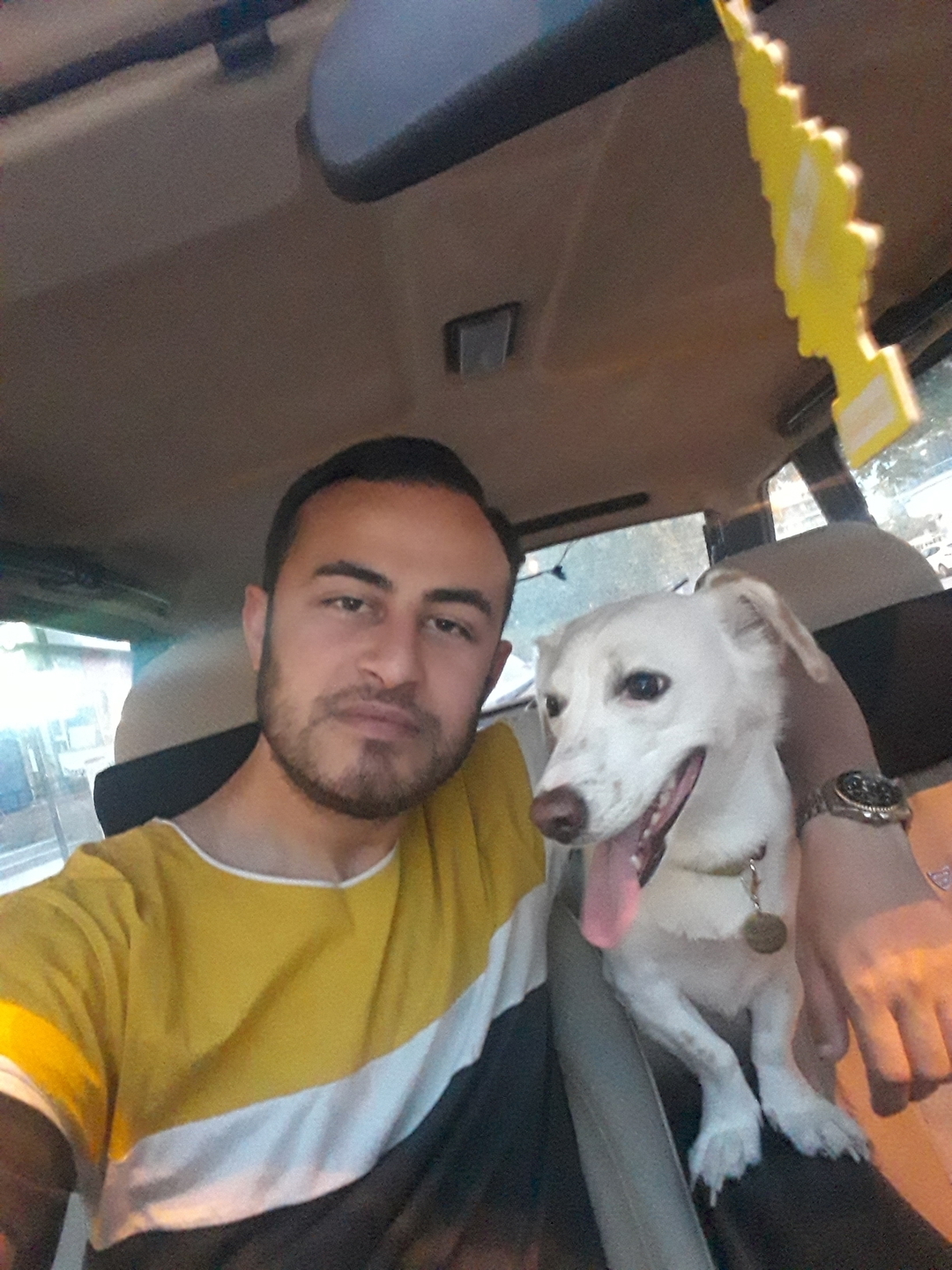 Seyit
