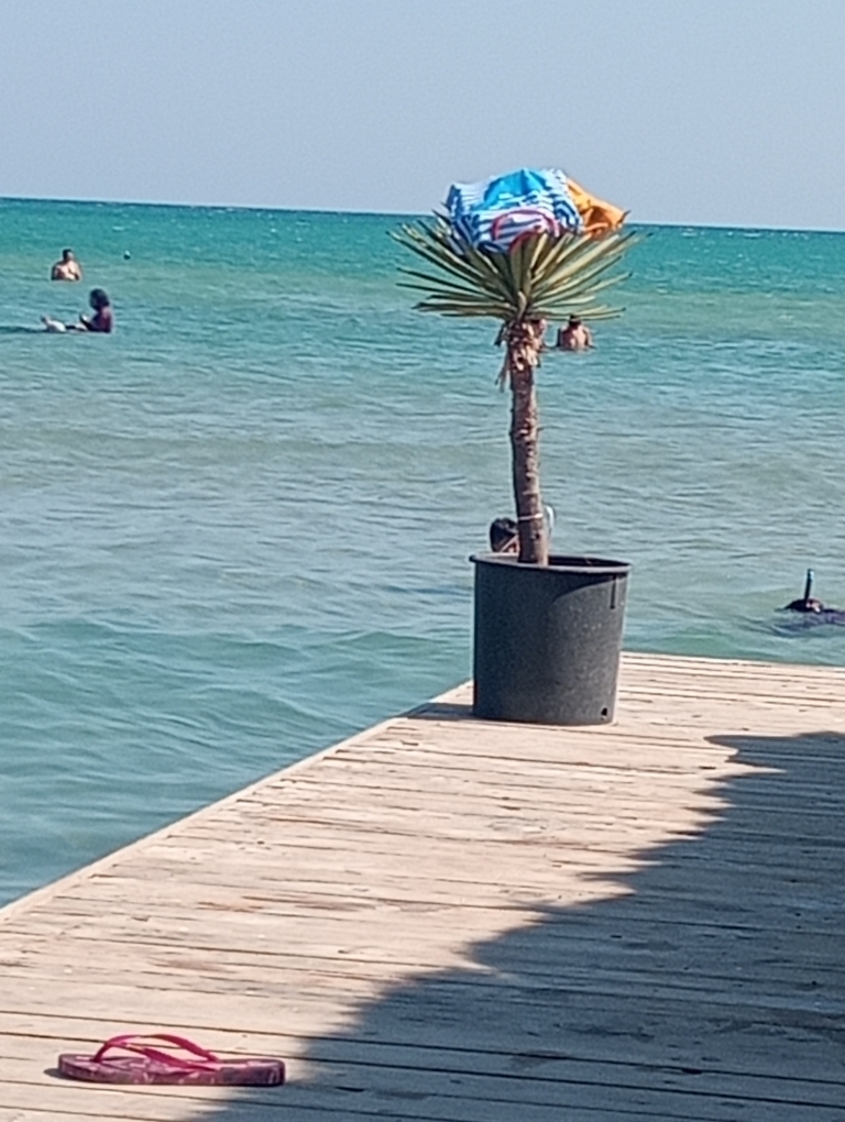 Zenten