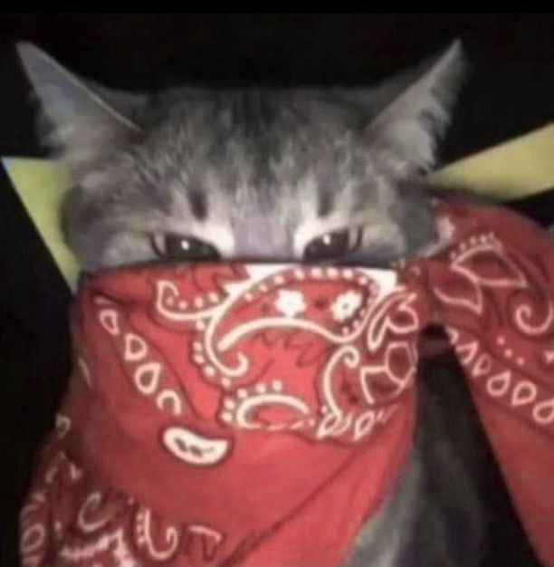 Hiswyy