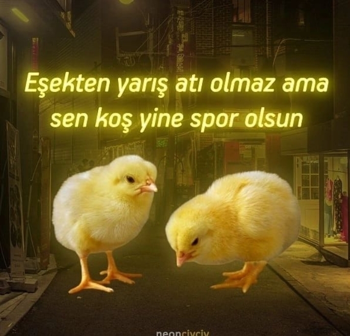 Sude