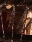 Rohit