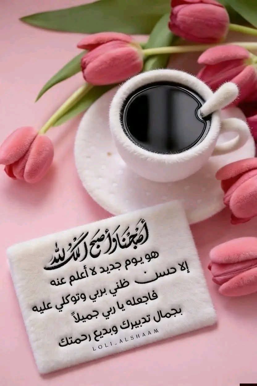Hamdy