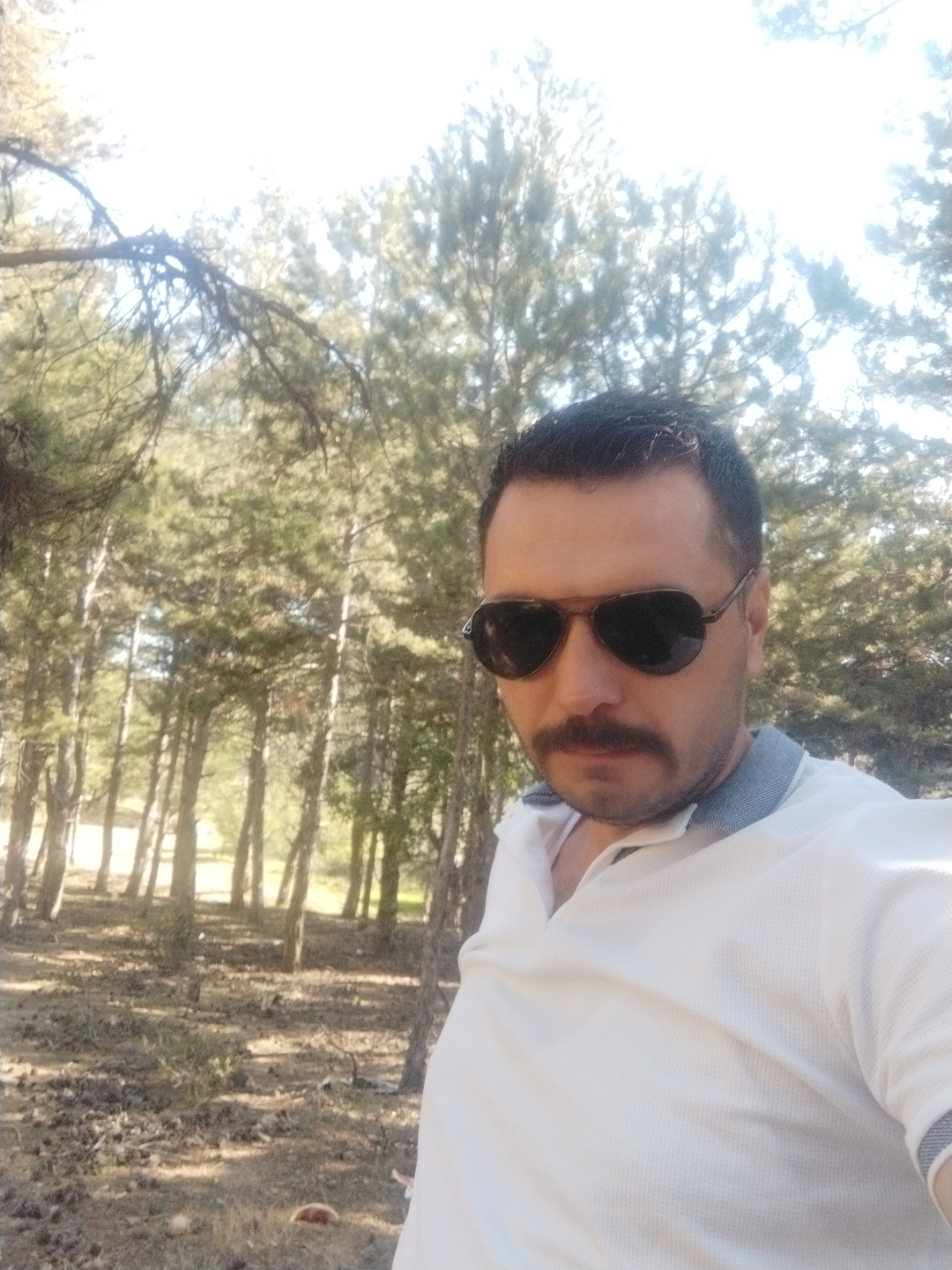 Davut
