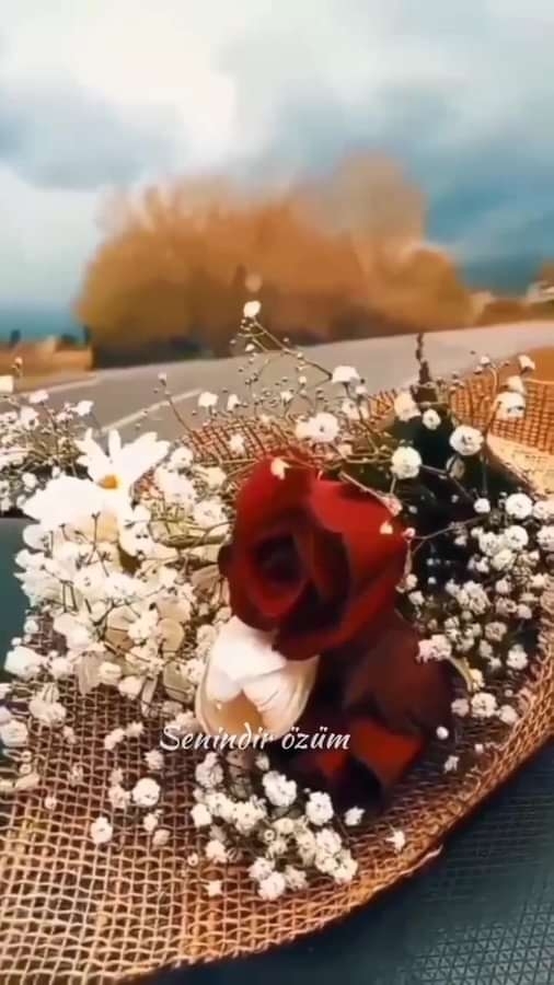 Yasemin