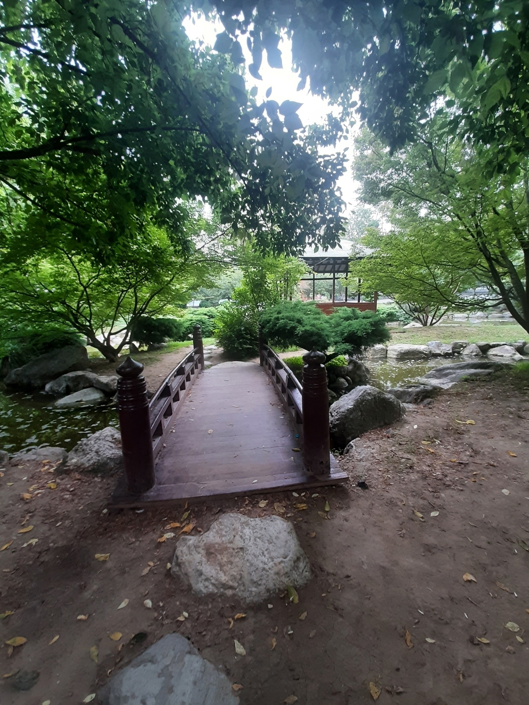 Yasemin