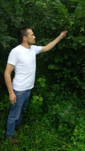 Mustafa