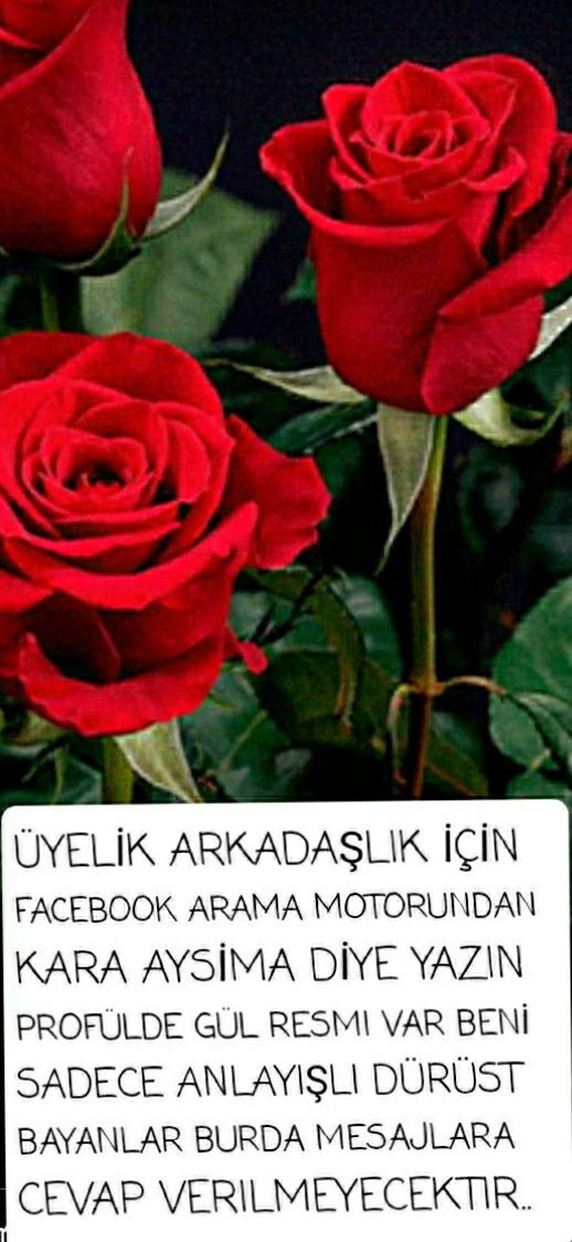 BJK