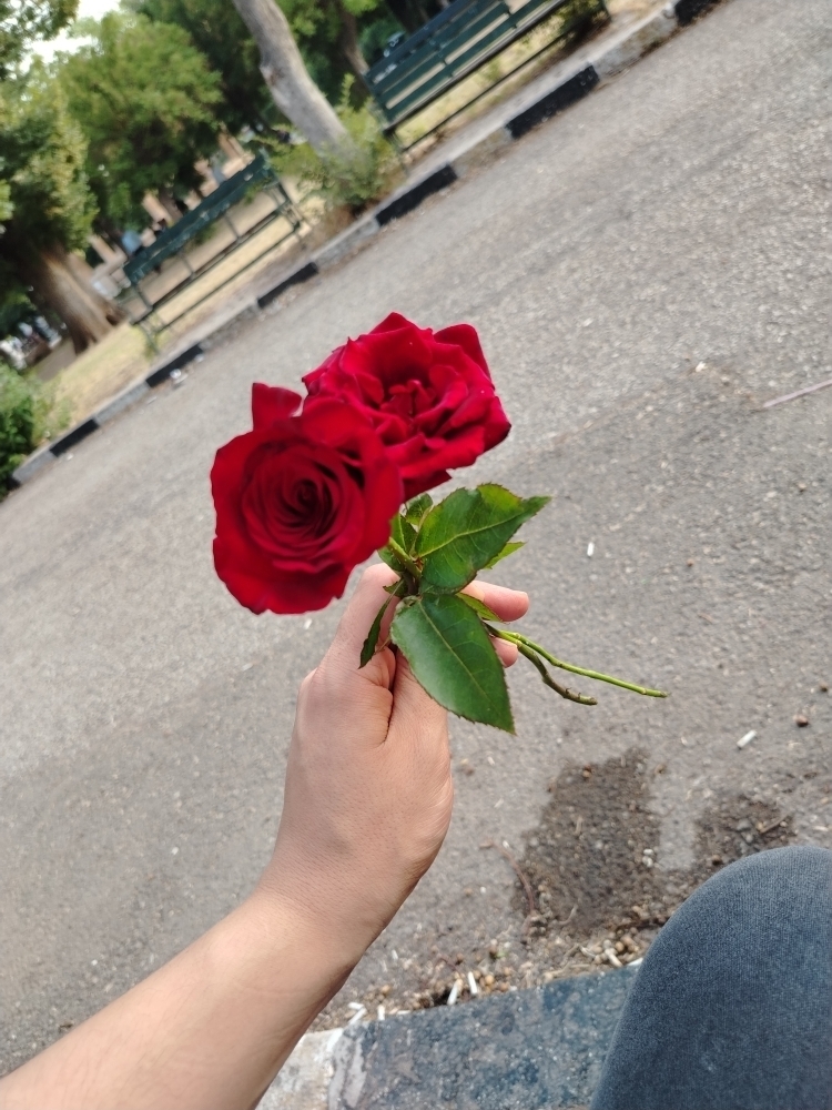 مصطفى
