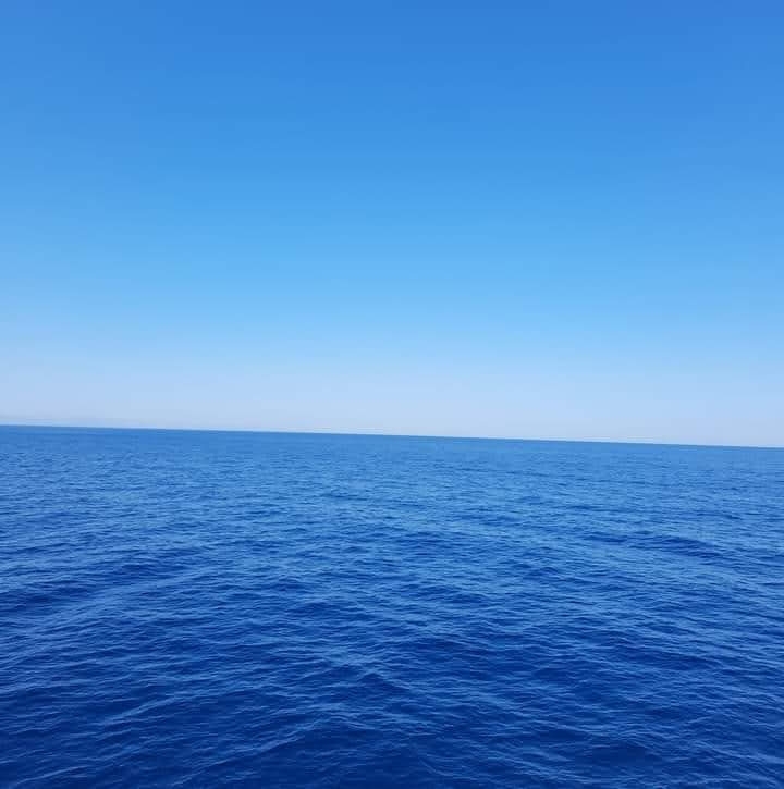 Mevlüt