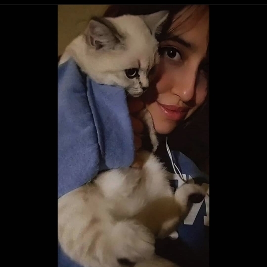 Gizem